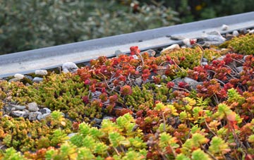 the cost of Howwood green roof installation