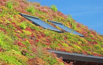 Howwood living roof systems